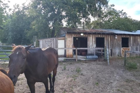 Appartement à Hudson, Floride 1 chambre № 2358940