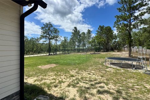 House in Williston, Florida 5 bedrooms, 278.71 sq.m. № 2329622 - photo 27