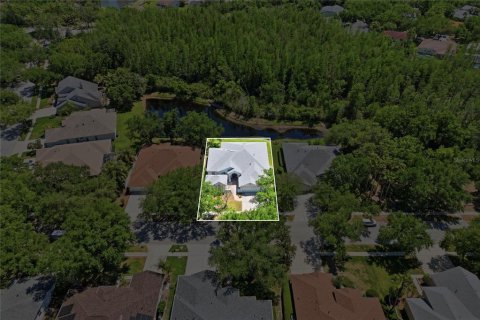 House in Tampa, Florida 5 bedrooms, 296.45 sq.m. № 2198819 - photo 4