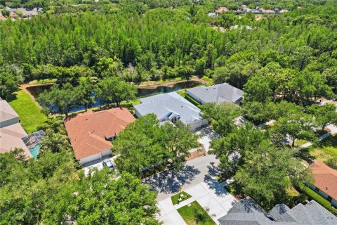 House in Tampa, Florida 5 bedrooms, 296.45 sq.m. № 2198819 - photo 5