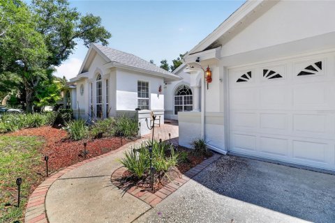 House in Tampa, Florida 5 bedrooms, 296.45 sq.m. № 2198819 - photo 8