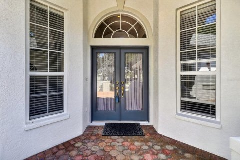 House in Tampa, Florida 5 bedrooms, 296.45 sq.m. № 2198819 - photo 12