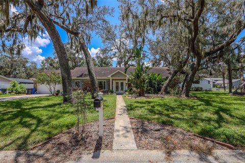 Villa ou maison à vendre à Brandon, Floride: 3 chambres, 155.05 m2 № 1876826 - photo 6