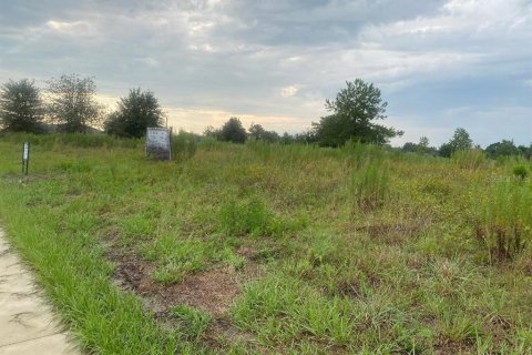 Terreno en venta en Ocala, Florida № 2277744 - foto 4