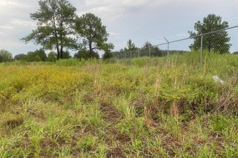 Terreno en venta en Ocala, Florida № 2277744 - foto 3