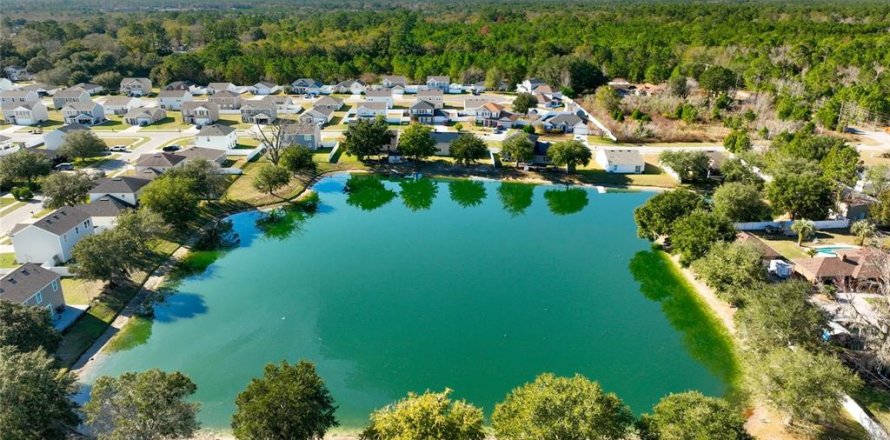 Villa ou maison à Macclenny, Floride 5 chambres, 206.43 m2 № 1910602