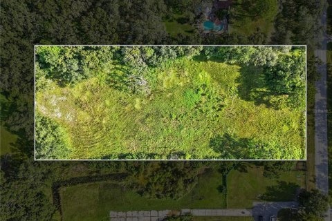 Land in New Port Richey, Florida № 1917287 - photo 7