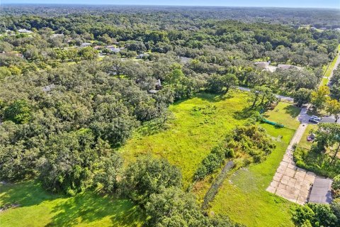 Land in New Port Richey, Florida № 1917287 - photo 4