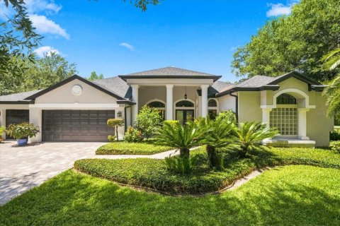 Villa ou maison à Lutz, Floride 4 chambres, 304.25 m2 № 2151550