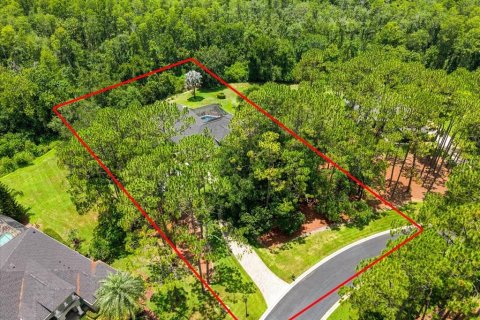 Villa ou maison à vendre à Lutz, Floride: 4 chambres, 304.25 m2 № 2151550 - photo 2