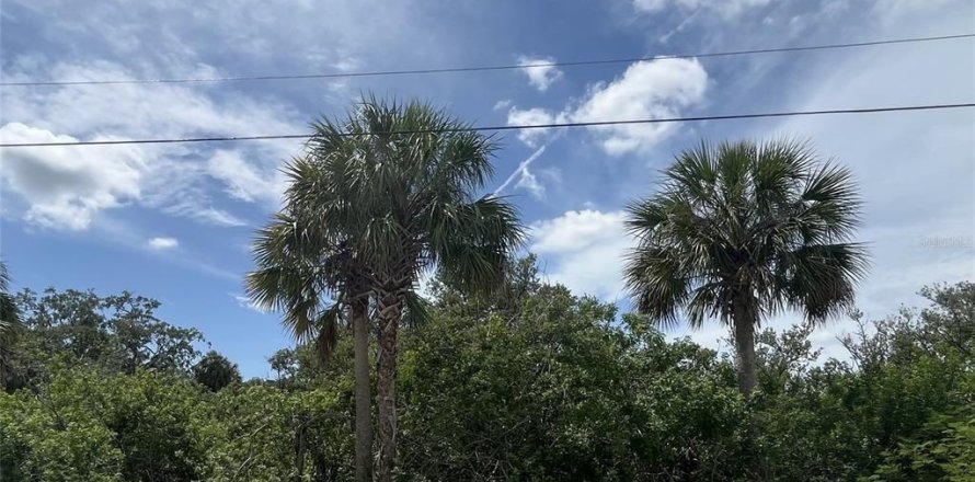 Terreno en Port Richey, Florida № 1886084