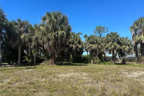 Terreno en venta en Rotonda, Florida № 1446244 - foto 1