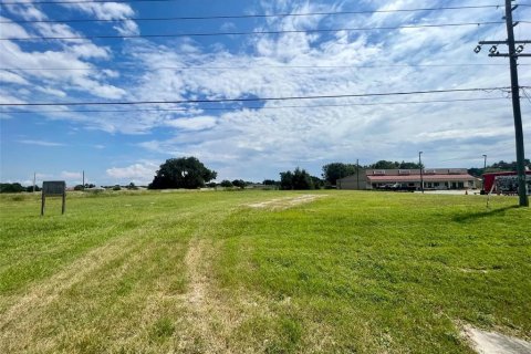 Terreno en venta en Summerfield, Florida № 1336979 - foto 3