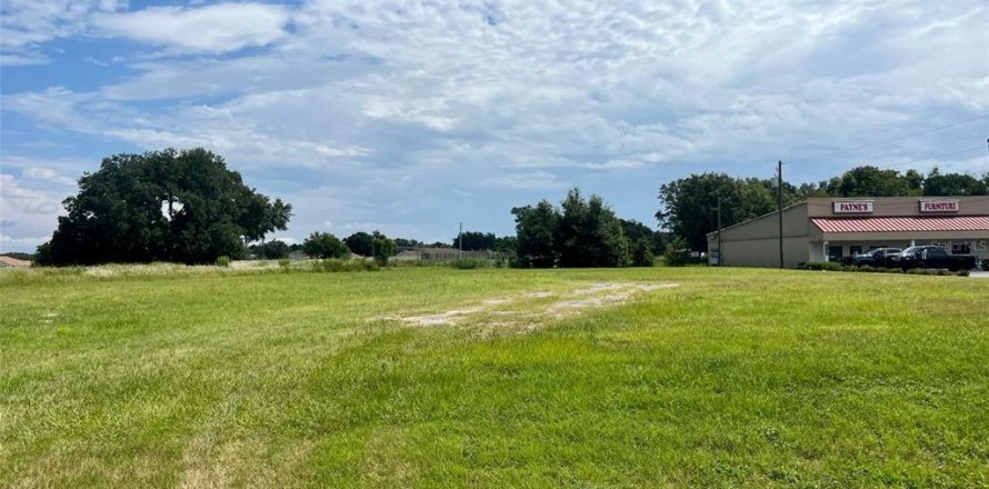 Terreno en Summerfield, Florida № 1336979