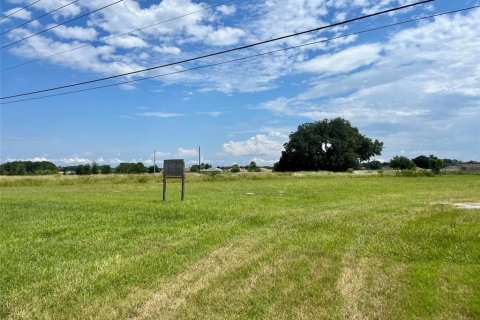 Terreno en venta en Summerfield, Florida № 1336979 - foto 2