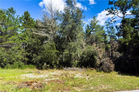 Commercial property in Ocala, Florida № 2027871 - photo 12