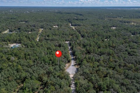 Commercial property in Ocala, Florida № 2027871 - photo 6