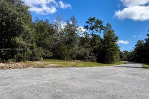 Commercial property in Ocala, Florida № 2027871 - photo 8