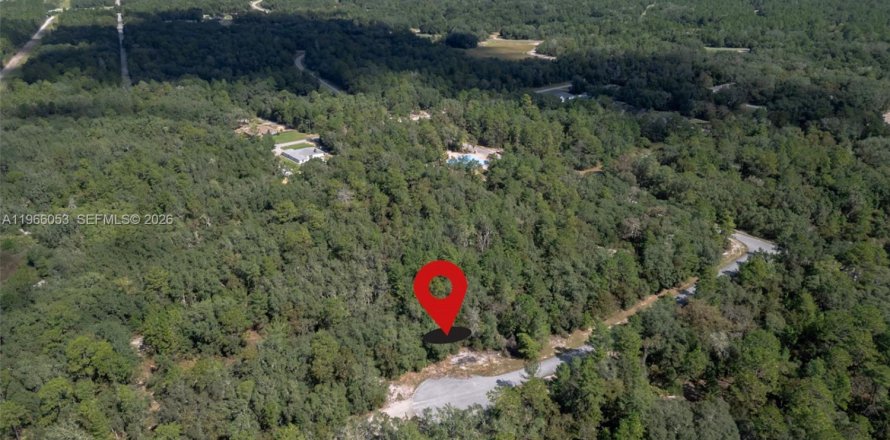 Commercial property in Ocala, Florida № 2027871