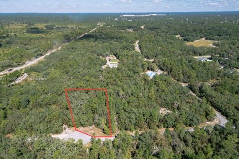 Commercial property in Ocala, Florida № 2027871 - photo 7