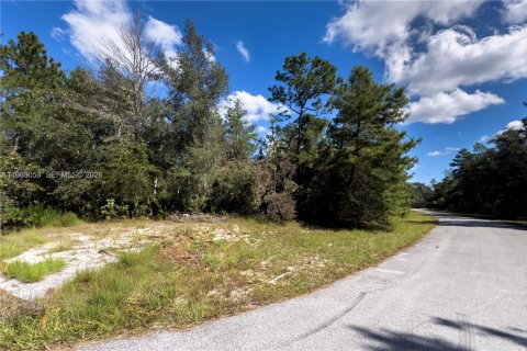 Commercial property in Ocala, Florida № 2027871 - photo 5