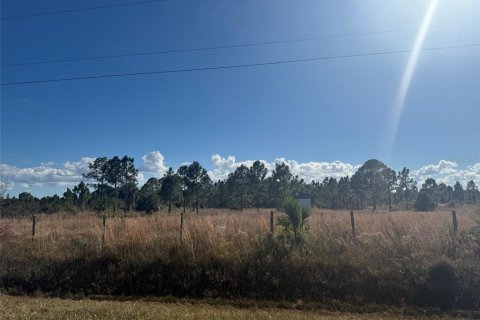 Land in Okeechobee, Florida № 2163044 - photo 5