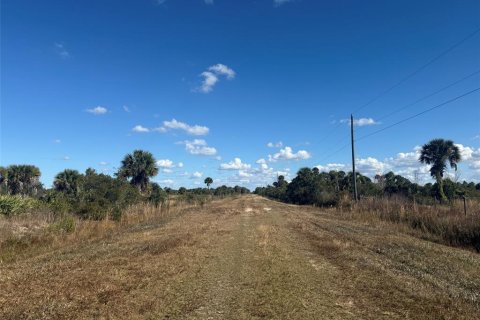 Land in Okeechobee, Florida № 2163044 - photo 4