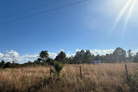 Land in Okeechobee, Florida № 2163044
