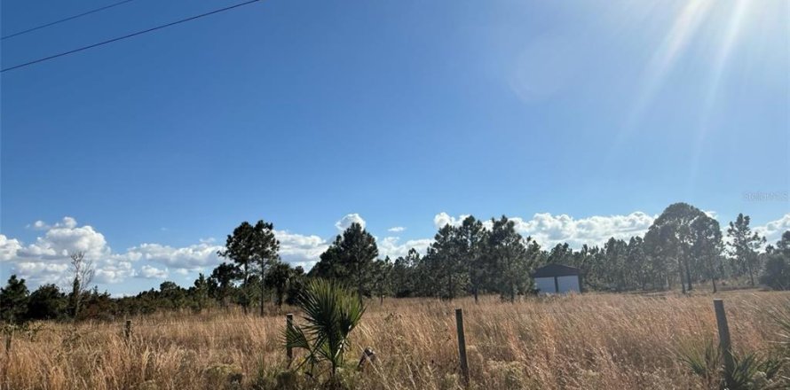 Land in Okeechobee, Florida № 2163044