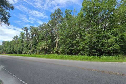 Land in Micanopy, Florida № 1828076 - photo 5