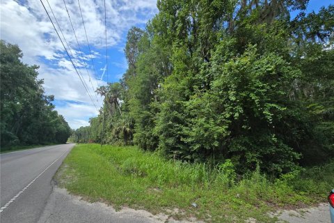 Land in Micanopy, Florida № 1828076 - photo 3