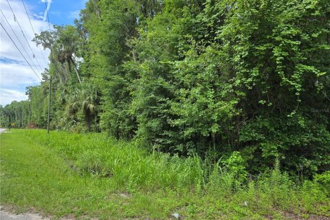 Land in Micanopy, Florida № 1828076 - photo 2