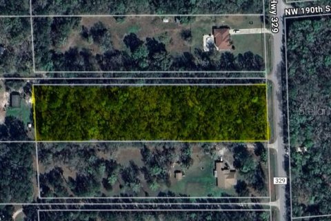 Land in Micanopy, Florida № 1828076 - photo 9
