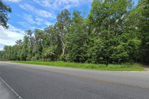 Land in Micanopy, Florida № 1828076 - photo 4
