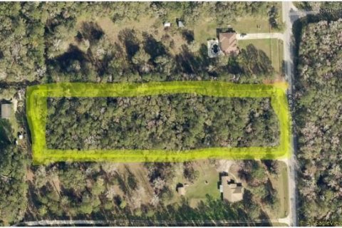 Land in Micanopy, Florida № 1828076 - photo 1