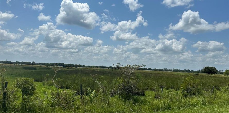Land in Okeechobee, Florida № 691673