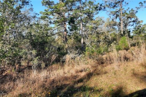 Land in Indian lake estates, Florida № 2228650 - photo 5