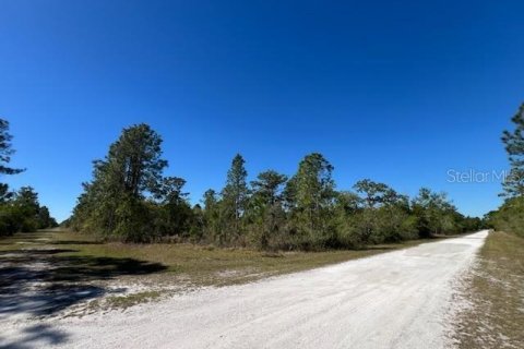 Land in Indian lake estates, Florida № 2228650