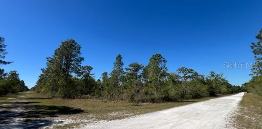 Land in Indian lake estates, Florida № 2228650