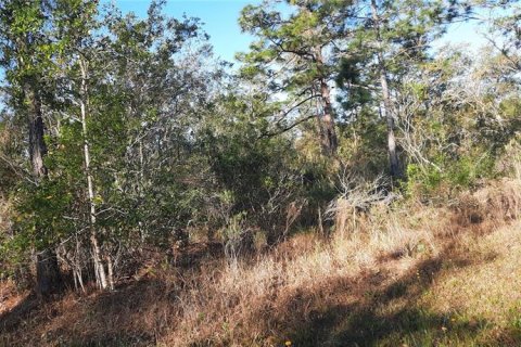 Land in Indian lake estates, Florida № 2228650 - photo 2