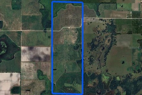 Land in Myakka City, Florida № 1651242 - photo 1