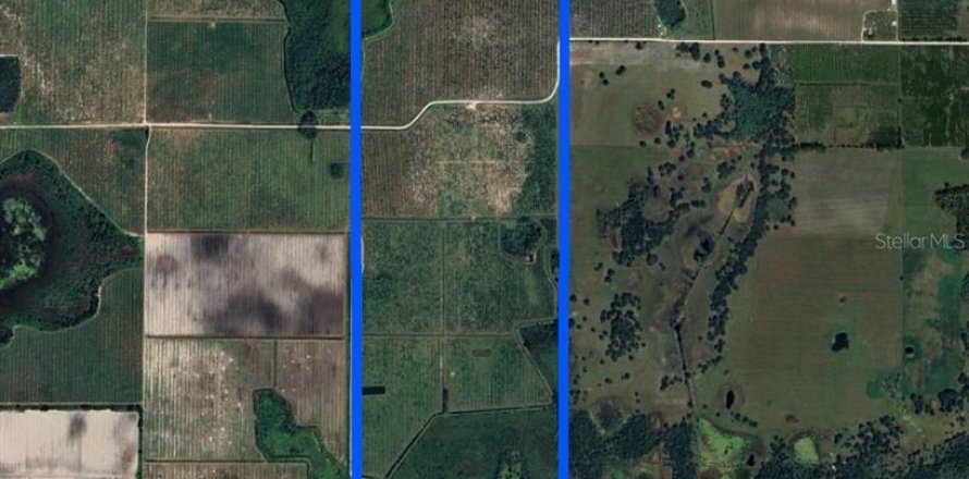Land in Myakka City, Florida № 1651242