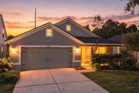 Villa ou maison à Fish Hawk, Floride 4 chambres, 183.48 m2 № 2409773