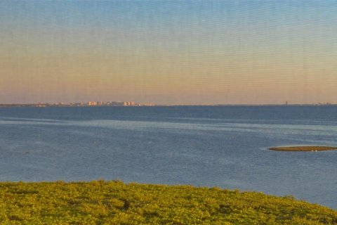 Copropriété à vendre à Bradenton, Floride: 2 chambres, 195.09 m2 № 1557181 - photo 24