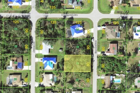 Land in Port Charlotte, Florida № 2164585