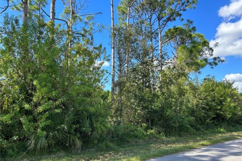 Land in Port Charlotte, Florida № 2164585 - photo 6