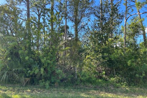 Land in Port Charlotte, Florida № 2164585 - photo 2