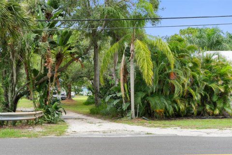 Terrain à Palm Harbor, Floride № 2216913