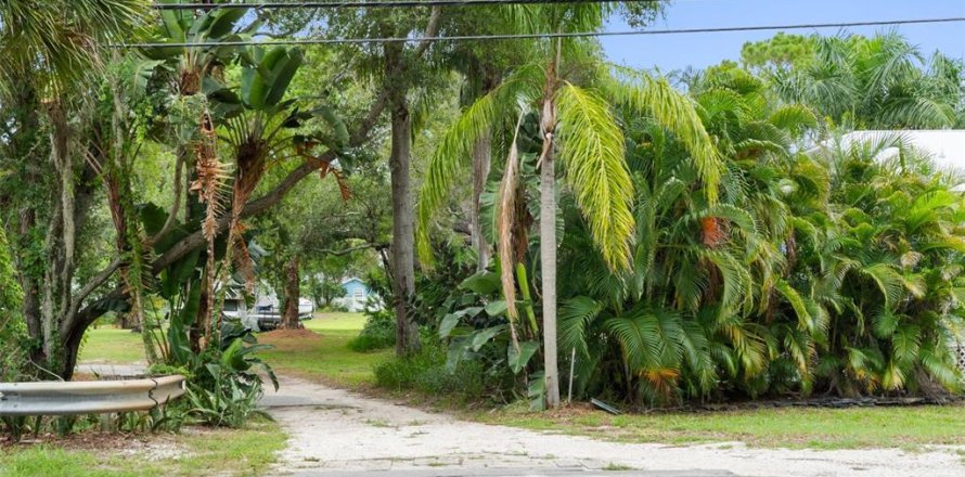 Terrain à Palm Harbor, Floride № 2216913