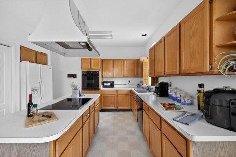 Villa ou maison à vendre à New Port Richey, Floride: 4 chambres, 323.3 m2 № 2132976 - photo 24